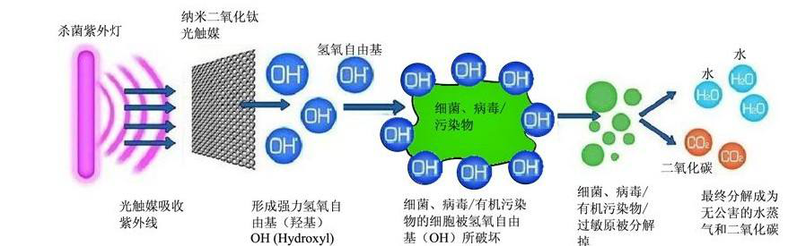 光觸媒滅菌系統(tǒng)